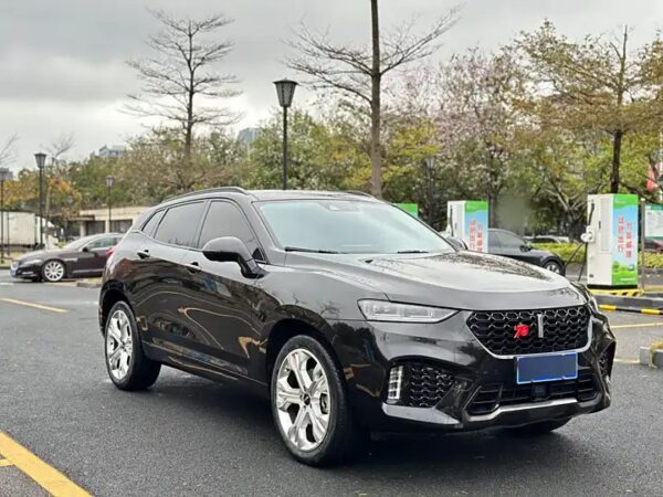 WEY VV7