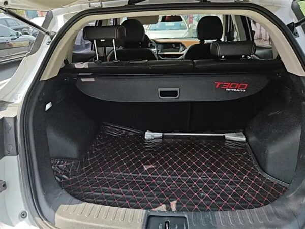 Zotye T300