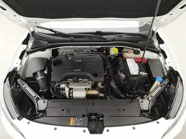 MG 6