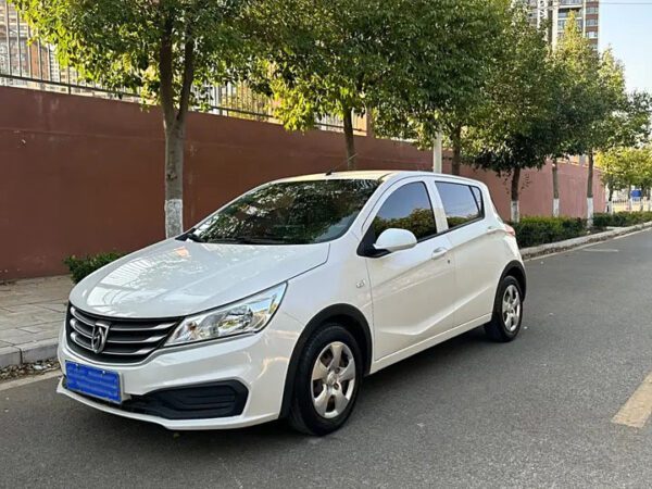 BAOJUN 310