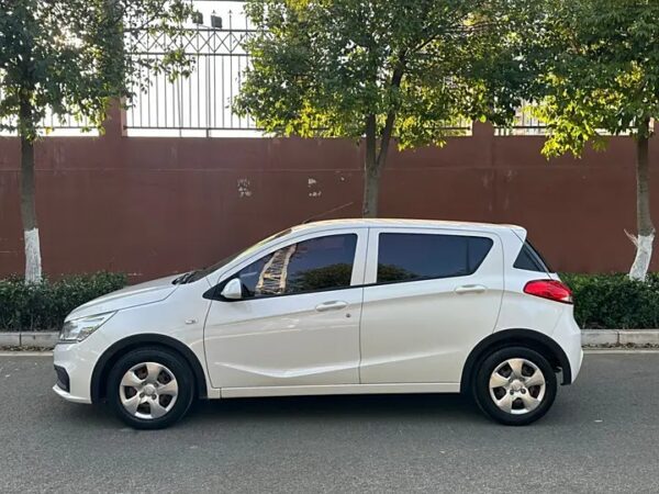 BAOJUN 310