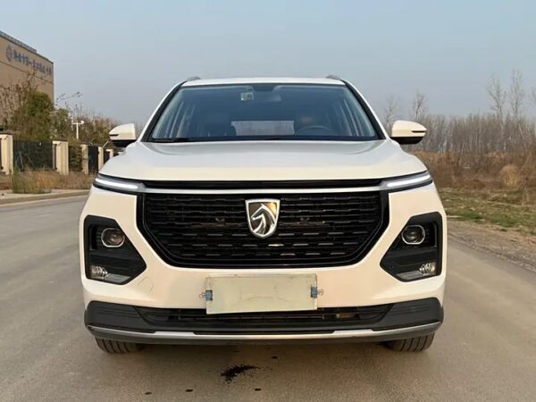BAOJUN 530