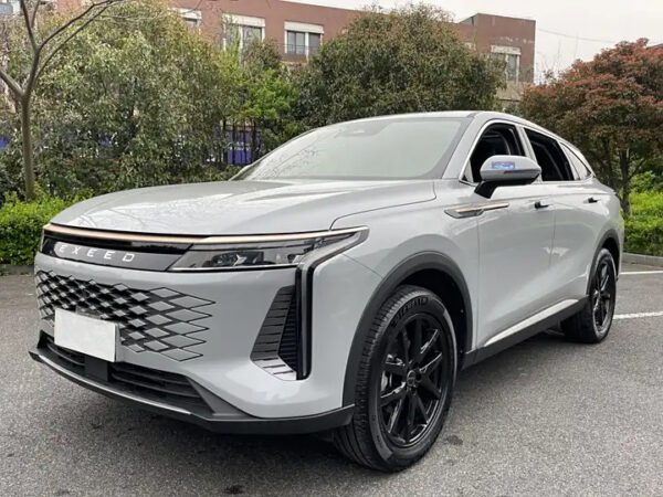 The Used car 2023 Sliver/Gray Exeed Stellar for sale.