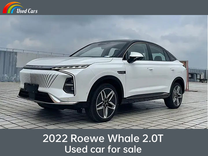 2022 Roewe Whale 2.0T