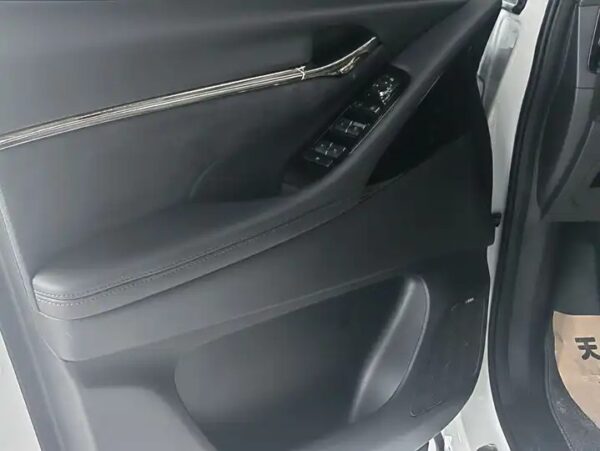 Trumpchi E9